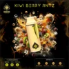 Kiwi Berry Rntz – Ace Ultra Premium Disposable Vape 2g