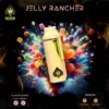 Jelly Rancher – Ace Ultra Premium Disposable Vape 2g